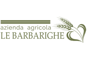 Logo Barbarighe 400x270 1 300x203