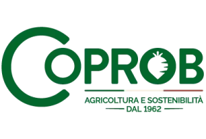 Logo Coprob 400x270 1 300x203