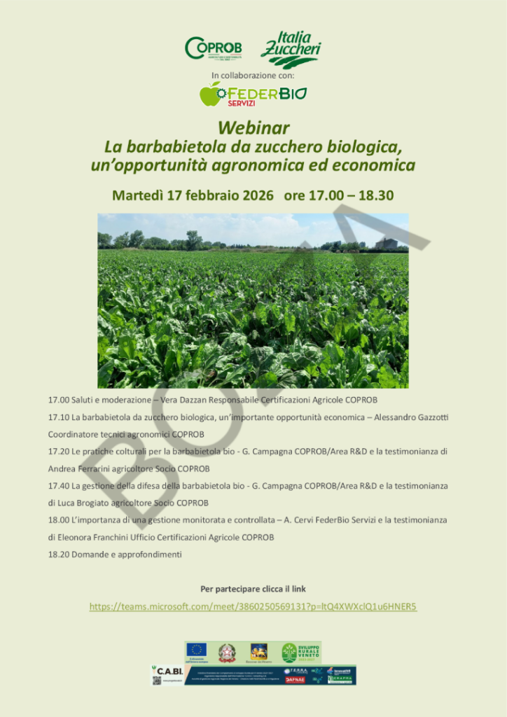 Webinar Resized 724x1024