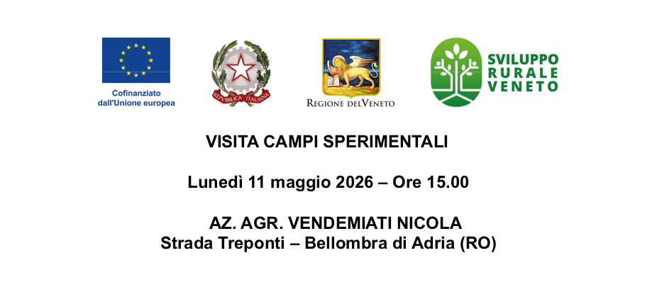 Visita Campi Thumb
